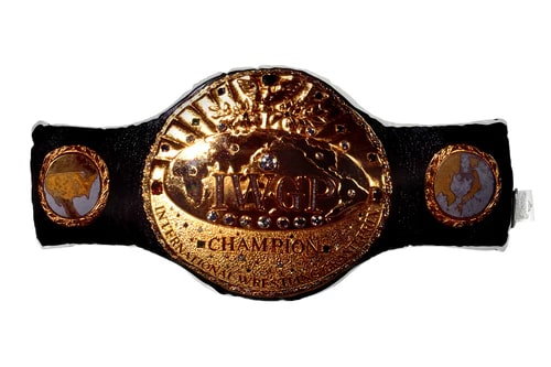SOUL SPORTS 初代 IWGP ヘビー級チャンピオンベルト クッション 新日本プロレス NJPWのサムネイル