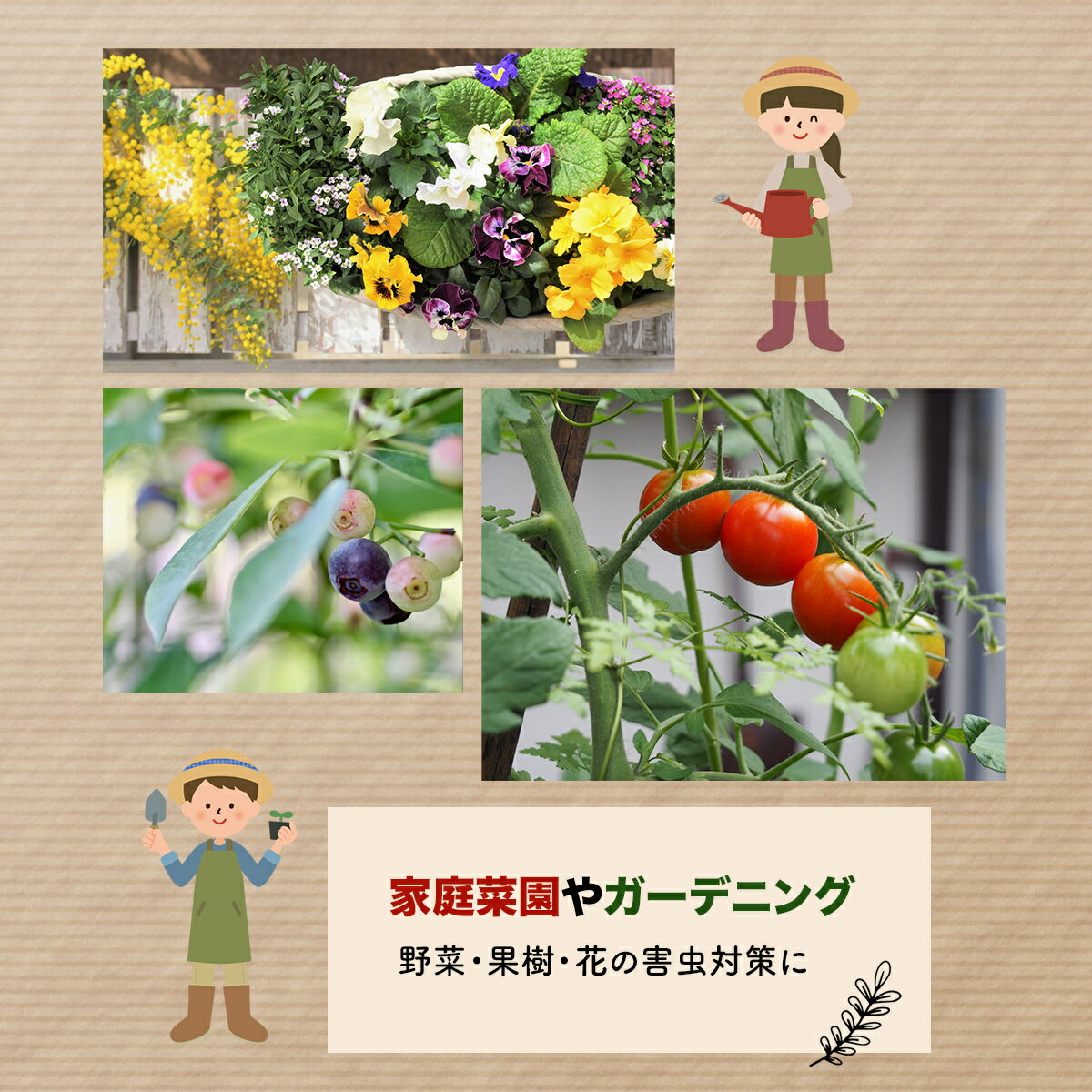 超目玉枠 害虫駆除 天然100 ハーブ 忌避 虫よけ 園芸用 バラ 家庭菜園 レモングラス アロマブレンド ニームオイル レモングラスブレンド 0ml ニーム 農業 農薬 畑 業務用 ガーデニング 野菜 植物の保護 虫対策 原液 害虫対策 虫除け 薔薇 土壌改良に トマト