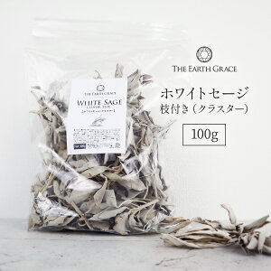 ホワイトセージ 浄化用 枝付き クラスター 約100g THE EARTH GRACE 高品質 無農薬 カリフォルニア産 パワーストーン 浄化 セージ セージの葉 枝付きリーフ whitesage セイジ 乾燥 お香 スマッジング ヨガ 瞑想 アースグレイス