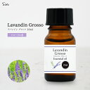 ラバンジン グロッソ エッセンシャルオイル 10ml ラベンダー 精油 アロマオイル アロマ ラバンジンオイル アロマセラピー アロマテラピー アロマ加湿器 部...