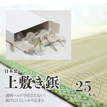 ござ カーペット 固定 ピン 抜けにくい 上敷鋲 25本入り 透明 クリア 絨毯 ピン止め 画鋲 ラグ 茣蓙 止めピン ゴザ 固定ピン い草上敷き 畳 固定 和室