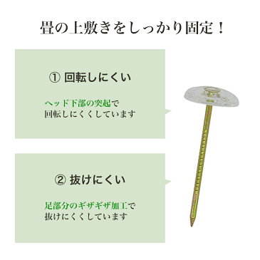 ござ カーペット 固定 ピン 抜けにくい 上敷鋲 25本入り 透明 クリア 絨毯 ピン止め 画鋲 ラグ 茣蓙 止めピン ゴザ 固定ピン い草上敷き 畳 固定 和室