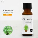 シトロネラ オイル 20ml アロマオイル 精油 エッセンシャルオイル アロマ シトロネラオイル アロマセラピー アロマテラピー アロマ加湿器 部屋 全体 自律...