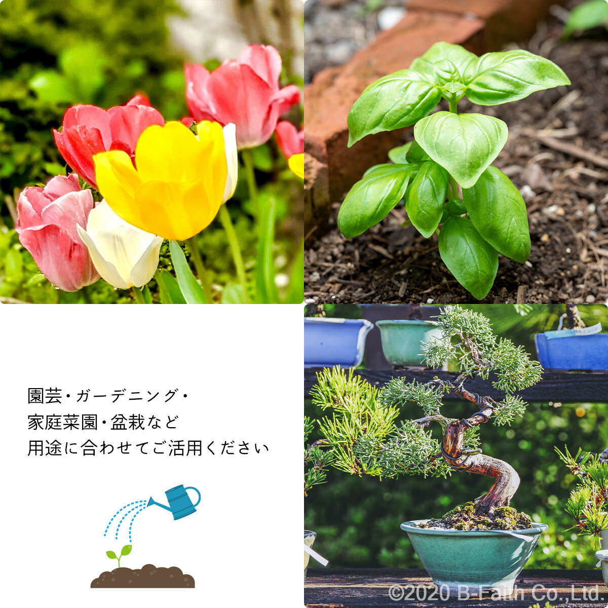 硬質赤玉土 国産 硬質 赤玉土 小粒 500ml 花木 ブレンド用に 草木など 観葉植物 新品 正規品 基本土