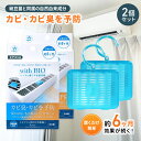 ビッグバイオ with BIO エアコン用 2個セット カビ 予防剤 約6ヶ月 1台分 カビ臭 カビ対策 防カビ剤 化学薬品不使用 天然由来成分 空調 快適 空間 梅雨 湿気