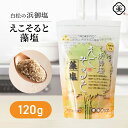 浜御塩 藻塩 えこそると 100g スタンドパウチ 日干し 国産 対馬産 海藻使用 はまみしお もしお さらさらタイプ 平釜製法 バイオマス製塩 和食 てんぷら から揚げ おにぎり 焼肉 お吸い物 お鍋