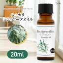 ユーカリラディアータ 精油 20ml エッセンシャルオイル アロマ アロマオイル 香り 天然 100% ディフューザー ルームフレグランス アロマセラピー アロ...