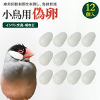 偽卵 擬卵 ギラン 12個入り 約 20mm x 13mm プラスチック 小鳥 インコ 鳩 文鳥 すり替え 偽物 卵 繁殖 産卵 抱卵