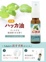 Sin ハッカ油スプレー 20ml ×3本 天然 ハッカオイル ハッカ油 スプレー マスク 精油 アロマオイル 入浴剤 花粉 消臭 除菌 日本製 送料無料 薄荷 はっか アロマ加湿器 部屋 全体 自律神経 イライラ 解消 花以外の プレゼント に 3