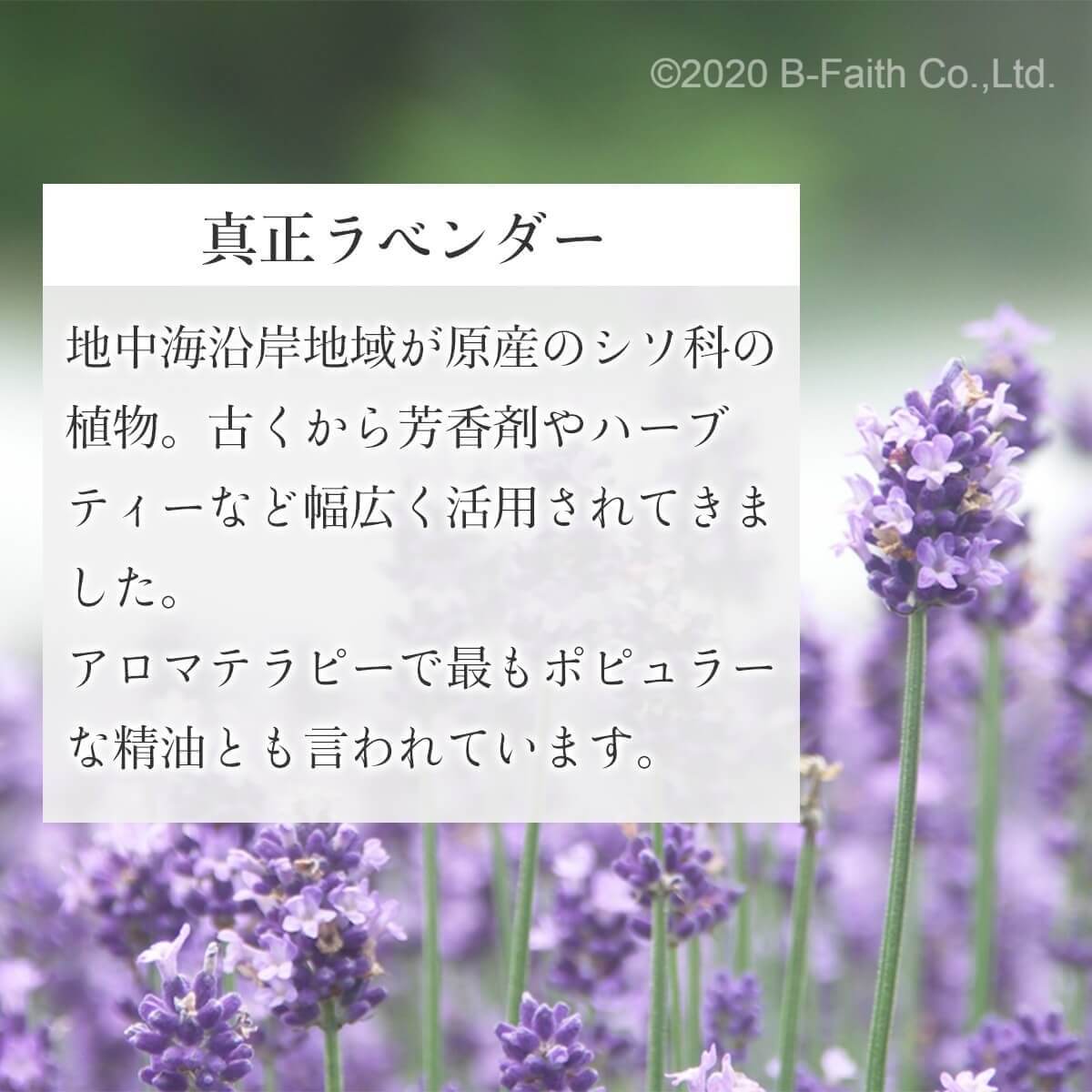 ������٥���� ������ 10ml ��٥���� ���� ������ �����ޥ����� ���å��󥷥�륪���� ��� �ޥ��� ��̲ ��̲ ���å��� ŷ��100% �����޲ü��� ���� ���� ��Χ���� ���饤�� ��� �ְʳ��� �ץ쥼��� ��