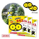 北海道環境バイオセクター SARABAカラスくん3コセット (2枚入り?3) カラス 避け 撃退 対策 忌避 防止 よけ 駆除 ゴミ捨て場 ゴミ ベランダ ステ...