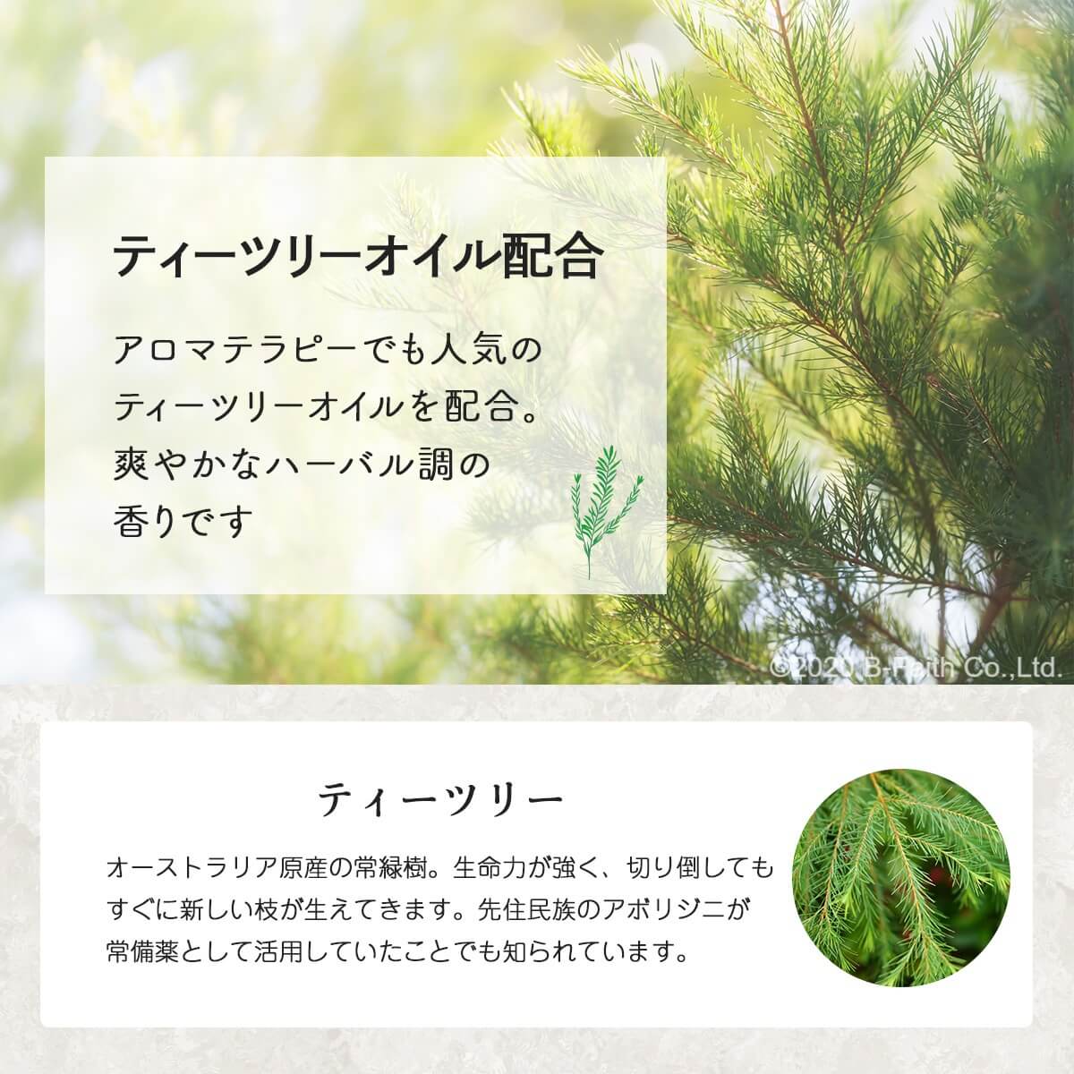 ������ �Ҷ���Ȥ���ʥ����� �ƥ����ĥ꡼ �����ס� 380ml �ͤ��ؤ� �ƥ����ĥ꡼ �ƥ����ȥ꡼ �ƥ����ȥ��꡼ ���� �֤���� �Ҵ�ȩ �ͤ��ؤ��� ��ե��� �����ס� Ƭ�� ͥ����