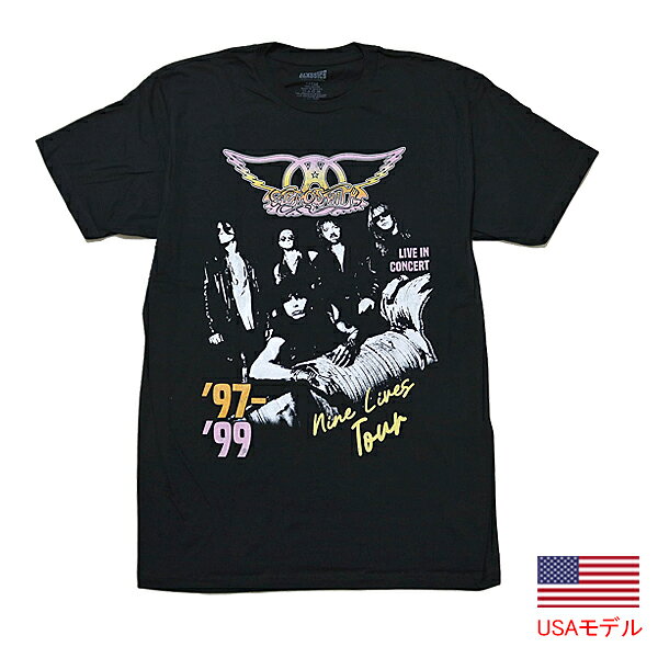 バンドTシャツ バンT エアロスミスオフィシャルライセンスTシャツ アーティストTシャツ 半袖Tシャツ アメリカ輸入品 正規品 American Classics Tシャツ MENS LIGHTWEIGHT T-SHIRT
