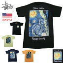 ステューシー Tシャツ STUSSY MIDNIGHT INSANITY S/S TEE STUSSY Tシャツ 半袖Tシャツ オールドステューシー ■品番 1904689