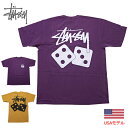 ステューシー Tシャツ メンズ ステューシー Tシャツ STUSSY DICE PIG. DYED TEE S/S TEE 半袖Tシャツ ピグメント加工 ユーズド加工 後染め加工 ビンテージ加工 古着風加工 ■品番 1904721 送料無料