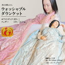 羽毛肌ふとん 肌布団 ダウンケット ウォッシャブルダウンケット 夏用 洗える 85% 0.3kg ニューゴールドラベル 洗濯ネット付 日本製 送料無料(3)