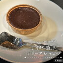 【圧倒的なチョコレート感】テリーヌショコラ オリジナル(ピース) バター不使用 定番 詰め合わせ ギフト プレゼント お取り寄せ 小麦不使用 福袋 体に優しいマ...