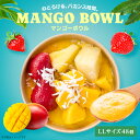 業務用:マンゴーボウルLL(トッピングあり) 48個 フルーツたっぷり ヘルシー アサイー ボウル acai 甘すぎない さっぱり すっきり acai アサイー...