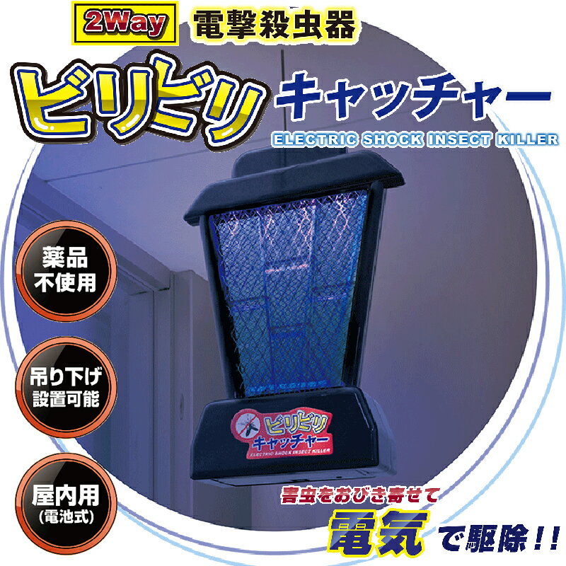 殺虫 2Way 電撃殺虫器　ビリビリキャッチャー AXL-222通販格安セール情報　楽天　通販