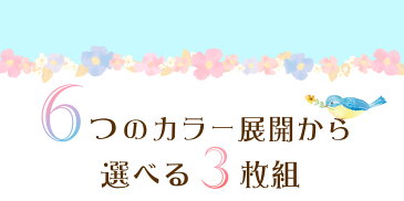 レディース インナー 下着 サニタリーショーツ・3枚組 ポケット付き・ポケット無しが選べる ブルーdayも安心 シンプル パンツ サニタリー セット 生理用品 夜用 ナイト 多い日用 生理用 下着 綿素材 コットン95％ 冷え対策