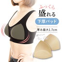 ＼スーパーセール半額以下！／ ノンワイヤーブラ用 盛りパッド 育乳パッド 美胸メイク 谷間メイク ブラカップ ブラパッド カップ パッド 盛りパット 育乳ブラ いくにゅうぶら ナイトブラ ラクブラ24に最適 パッと交換だけで育乳 小胸