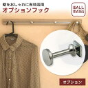 ウォールメイツ 正規品 オプション スリムレールフック 用フック(1個入) MR-4396｜壁掛け ウォールハンガー 注)ハンギングレールには使えません