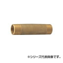 【暮らしラクラク応援セール】SANEI 砲金長ニップル T2050L-25X100【取り寄せ・返品不可商品】