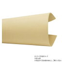 【暮らしラクラク応援セール】大判切り革 ピサーノ ナチュラル 1枚 Pkawa055-2/1-13【取り寄せ・返品不可商品】