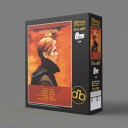 【暮らしラクラク応援セール】ジグソーパズル LEGEND OF ROCK ロウ(デヴィッド・ボウイ) 300ピース 300-390【取り寄せ・返品不可商品】