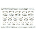 【暮らしラクラク応援セール】Sha-Nail Pro 写ネイル ネイルシール STARLIGHT LUNULA Grege CH-005g【取り寄せ・返品不可商...