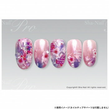 【暮らしラクラク応援セール】Sha-Nail Pro 写ネイル ネイルシール S/S/エスエス AYAKO-016【取り寄せ・返品不可商品】