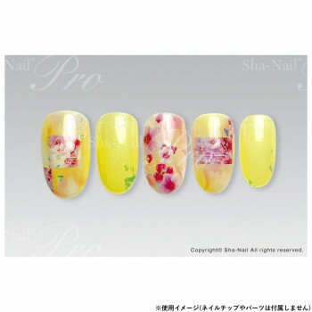 【暮らしラクラク応援セール】Sha-Nail Pro 写ネイル ネイルシール S/S/エスエス AYAKO-016【取り寄せ・返品不可商品】