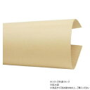 【暮らしラクラク応援セール】大判切り革 ピサーノ ナチュラル 1枚 Pkawa055-2/1-10【取り寄せ・返品不可商品】