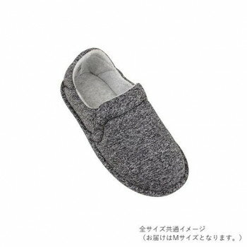 【暮らしラクラク応援セール】幸和製作所 テイコブ(TacaoF) シアリクルームSHN02 ブラック SHN02-BK-M【取り寄せ・返品不可商品】