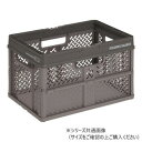 【暮らしラクラク応援セール】天馬 PRX 折りたたみバスケット ハンドル付 S グレー ABS3603【取り寄せ・返品不可商品】