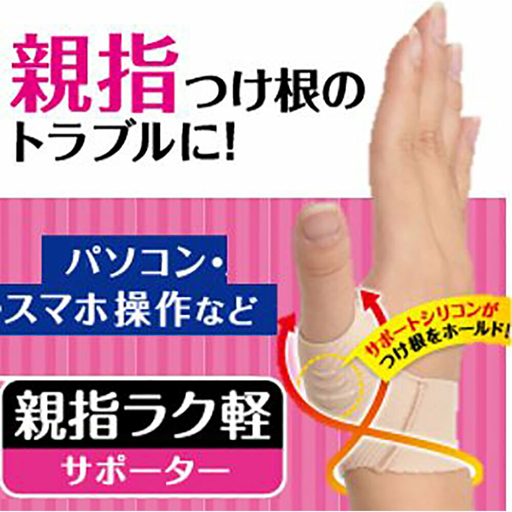 ڼD&M ǥɥ DMS-107246 ƻ 饯ڥݡ 󥺡˥å