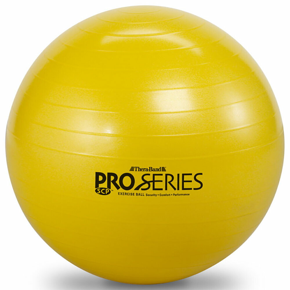 【取寄】D&M ディーアンドエム DMS-SDS45 エクササイズボール「プロシリーズ」 イエロー メンズ・ユニセックス(4.0)