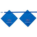 【取寄】(molten) モルテン MRT-XA0060C フラッグフットボール用フラッグ サックス メンズ・ユニセックス