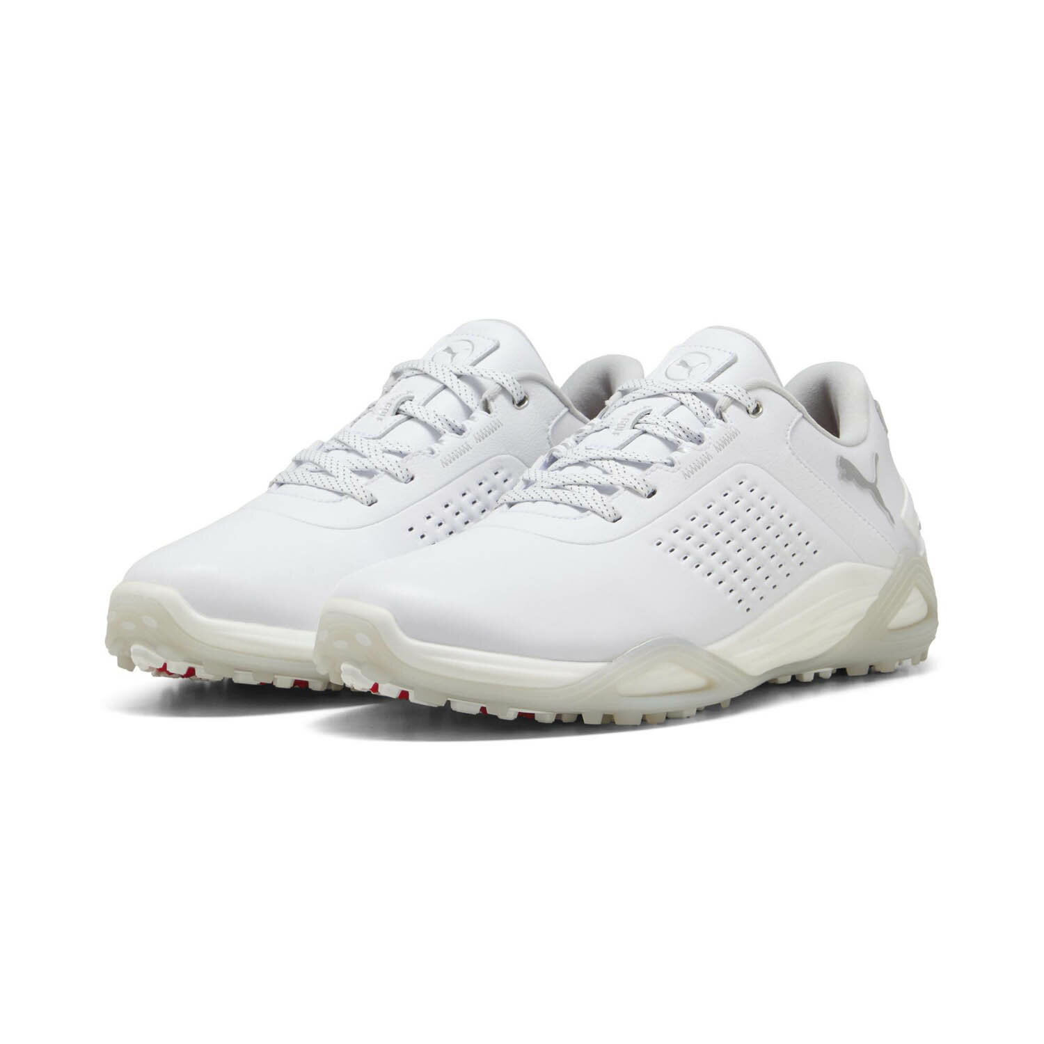 【取寄】 (PUMAGOLF) プーマゴルフ PMJ-311067-01 Shadowcat NITRO Leather (01)プーマホワイト/アッシ..
