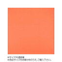 【暮らしラクラク応援セール】トレシー カラークロス 30×30cm A3030-YOO G-76 アプリコット【取り寄せ・返品不可商品】