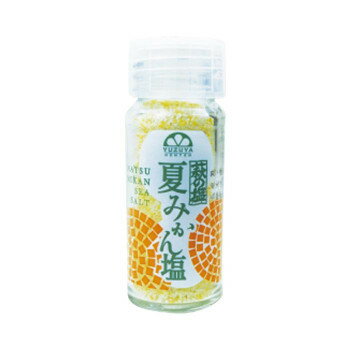 【暮らしラクラク応援セール】夏みかん塩 25g ×48個セット【軽減税率対象商品】【取り寄せ・返品不可商品】 1