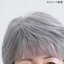 【暮らしラクラク応援セール】プリシラ オールウィッグ ミセス ミニマムショート A-111 耐熱 TGH・グレイヘア【取り寄せ・返品不可商品】