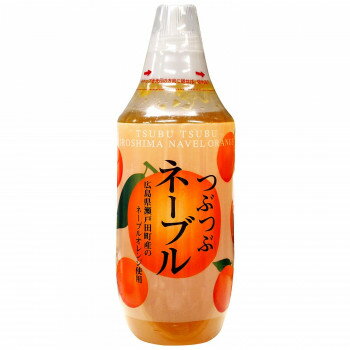 【暮らしラクラク応援セール】北川村ゆず王国 つぶつぶネーブル 480g 12個セット 22053【軽減税率対象商品】【取り寄せ・返品不可商品】