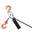 【暮らしラクラク応援セール】ベスト・アンサー レバーホイスト 0.25t 250kg V2 001【取り寄せ・返品不可商品】