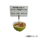 【暮らしラクラク応援セール】日本職人が作る 食品サンプル メモ・フォトクリップ ミニカレーうどん IP-560【取り寄せ・返品不可商品】