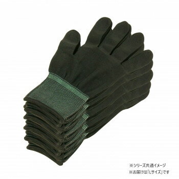 フルーツ用ギフト箱 パール21 170×240×70(mm) イチゴ300gトレー×2パック 「100箱」