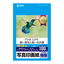 【暮らしラクラク応援セール】サンワサプライ インクジェット写真印画紙 特厚 L判 フォト光沢 100枚 JP-EP2NLN【取り寄せ・返品不可商品】