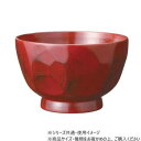 【暮らしラクラク応援セール】阿瀬真三商店 13cm中丼 なた目 根来 G0609【取り寄せ・返品不可商品】