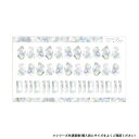 【暮らしラクラク応援セール】Sha-Nail Pro 写ネイル ネイルシール STARLIGHT SHELL (L) CH-002l【取り寄せ・返品不可商品】