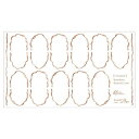 【暮らしラクラク応援セール】Sha-Nail Pro PLUS 写ネイル ネイルシール French Random Round Line -Whiskey Br...